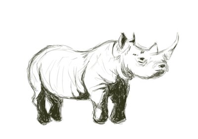 Rhino